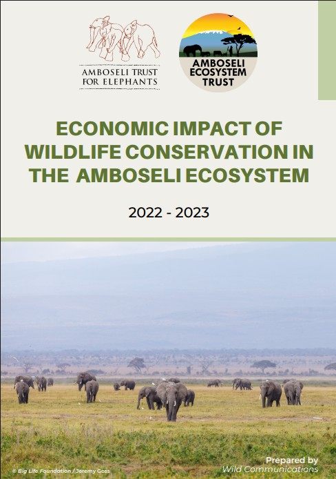 Economic Impact Survey 2023 Cover