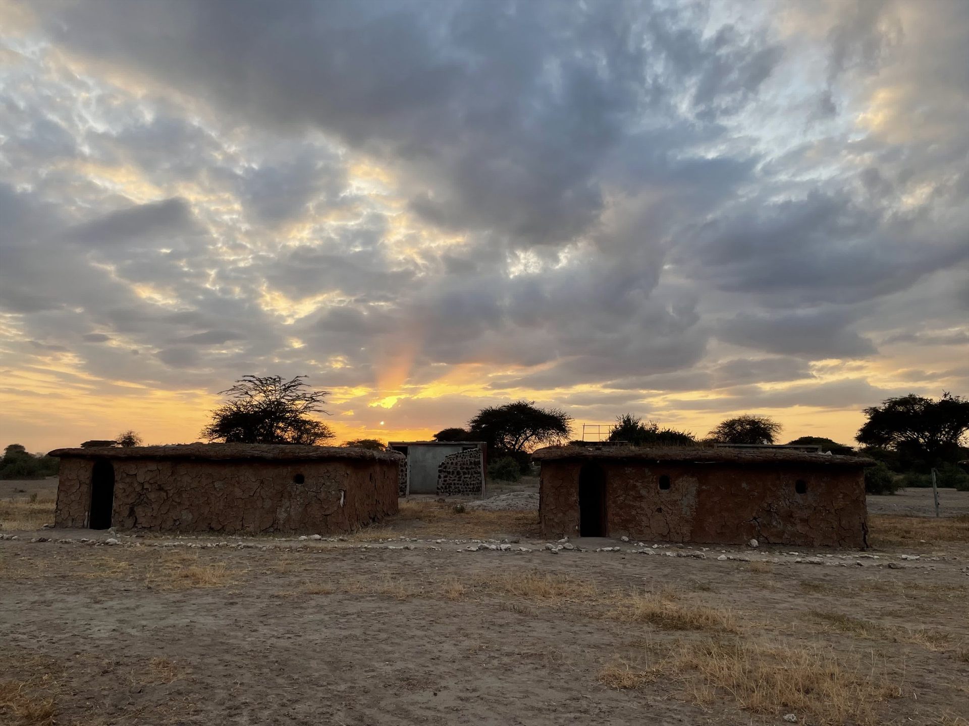 Amboseli Field Photography