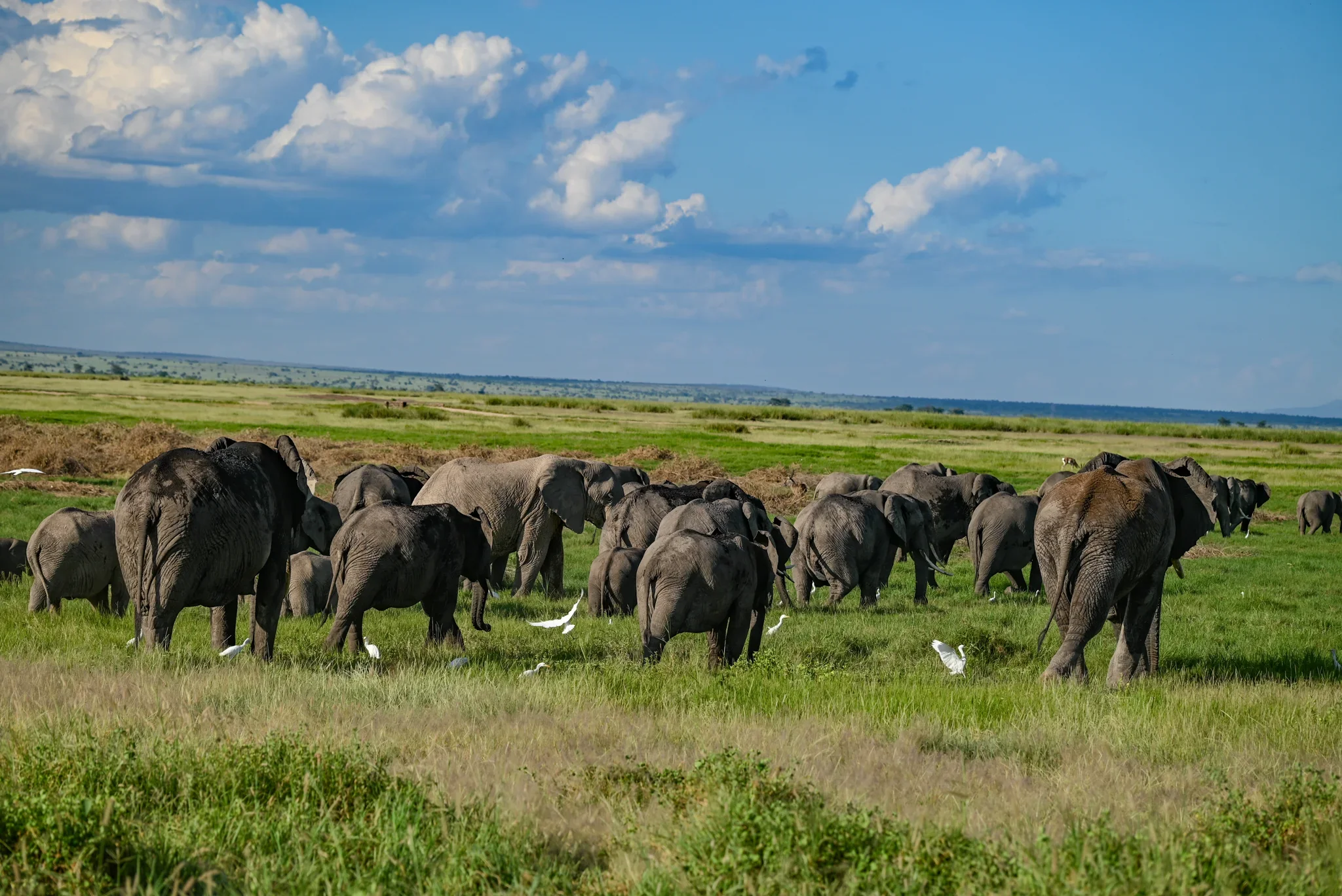 Amboseli Wildlife Corridor Spatial Zoning