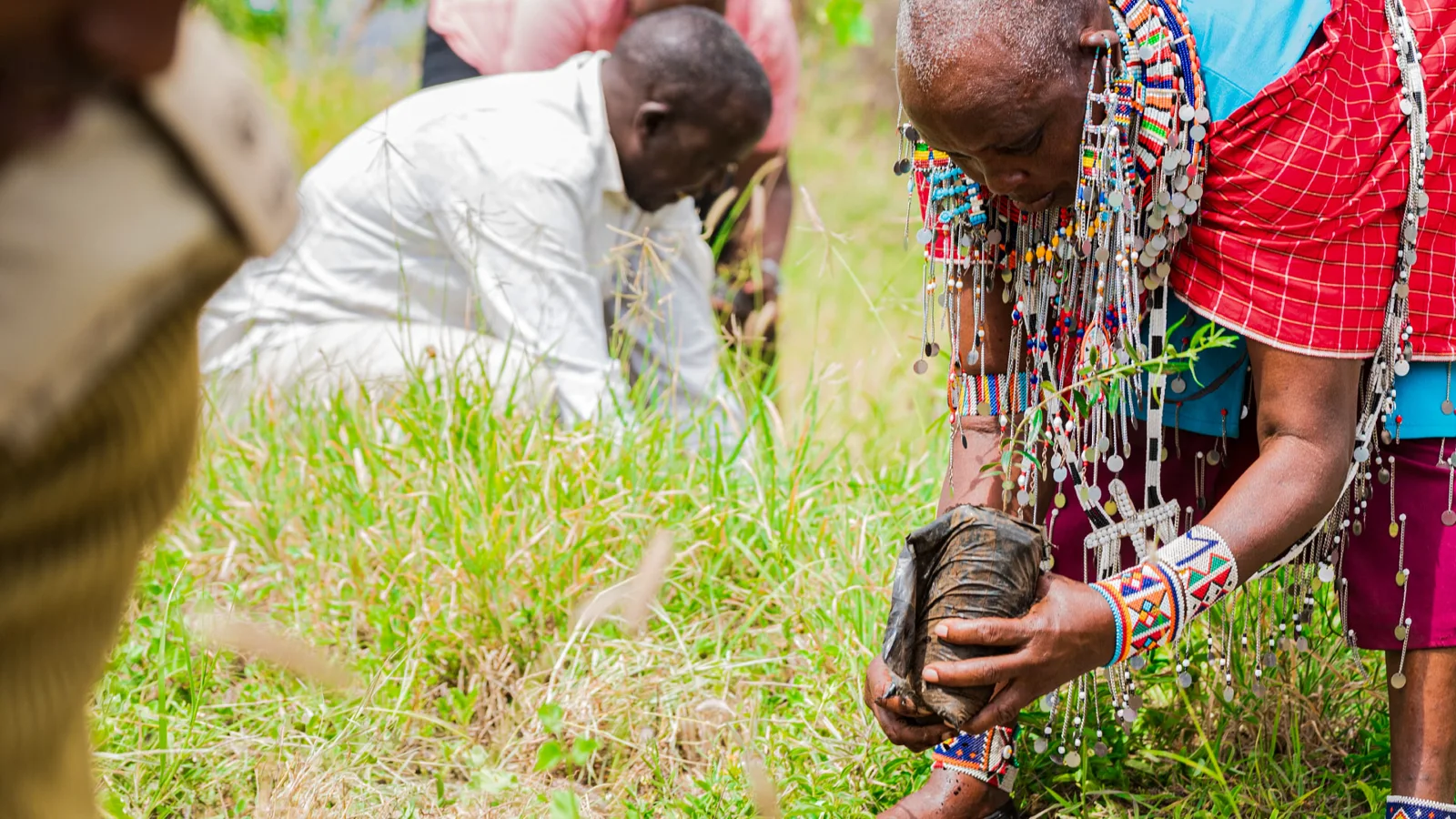 Amboseli Field Photography